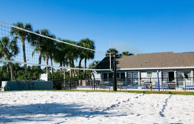 Volleyball Court