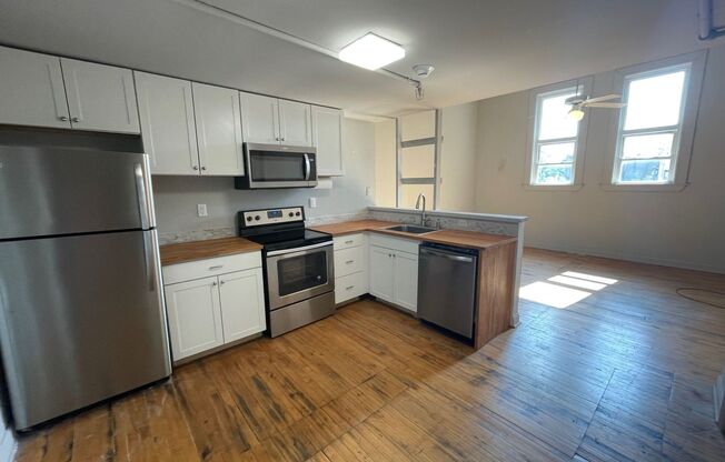 1 bed, 1 bath, $1,155, Unit Unit 19