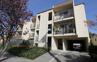 McGee Ave. 2229