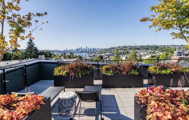 Studio, 1 bath, 300 sqft, $1,495, Unit 523