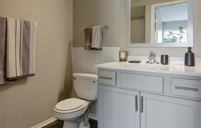 a bathroom with a toilet and a sink and a mirror