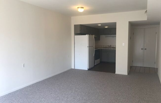 1 bed, 1 bath, $2,450, Unit 303