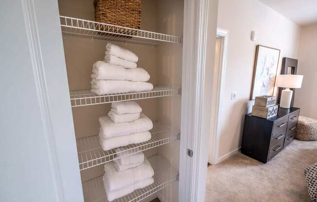 Built-In Shelving In Closet at Abberly CenterPointe Apartment Homes by HHHunt, Midlothian, VA, 23114