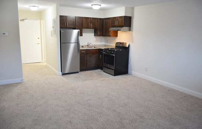 Carpeting in Our Renovated Studio