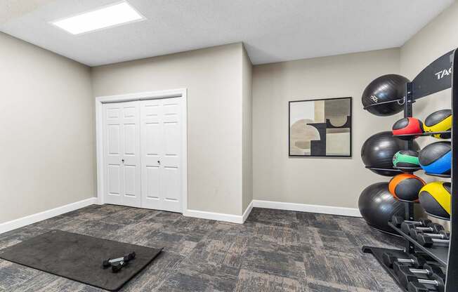 A room with a white door, a black mat on the floor, and a rack of exercise balls.
