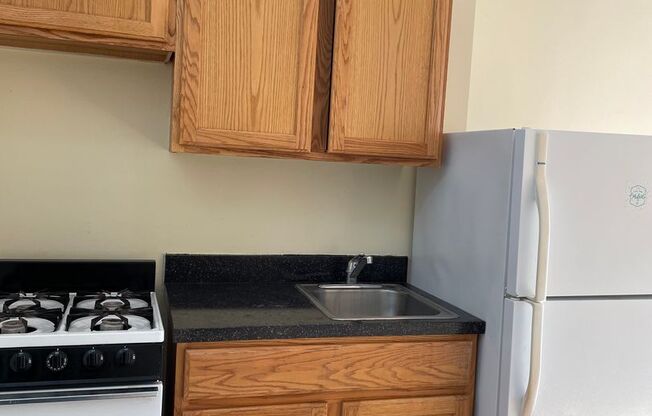 Studio, 1 bath, 300 sqft, $1,522, Unit 321