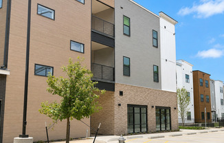 Creative Apartment Living in the Heart of Austin