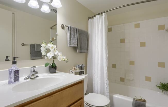 Camp Hill Apartments Bathoom | Apartments in Camp HIll PA at Long Meadows