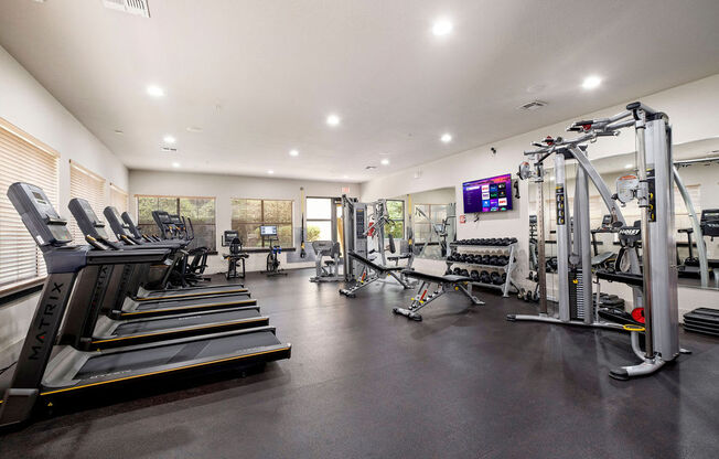 the gym is equipped with cardio equipment and weights