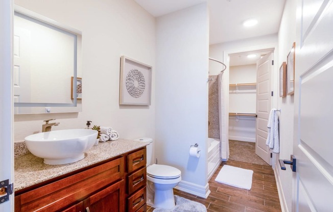 a bathroom with a sink and a toilet and a shower