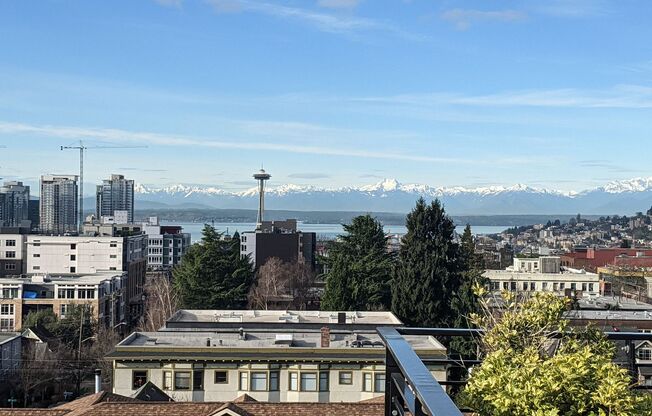 Studio, 1 bath, 223 sqft, $1,195, Unit 01 - 217