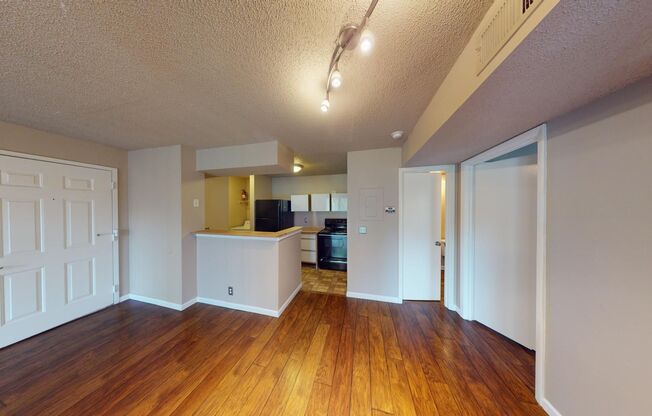 1 bed, 1 bath, $1,250