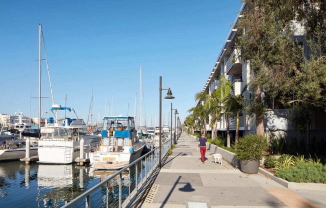 a person walking their dog down a sidewalk near a harbor with boats