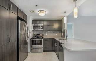 The Plaza Apartments In Grand Rapids, MI Premium Kitchen With Granite Countertops and Wood Style Flooring