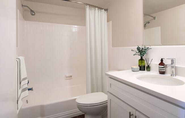 a bathroom with a sink and a toilet and a shower