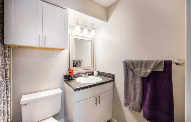 Bathroom with a toilet sink and mirror at Windmill Apartments, Colorado, 80916