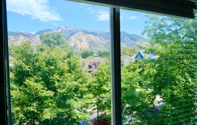 Jefferson Avenue Apartments