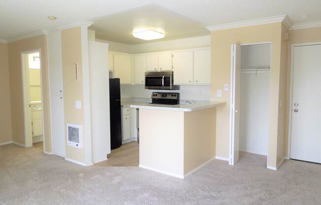 Studio, 1 bath, 475 sqft, $1,995, Unit F110