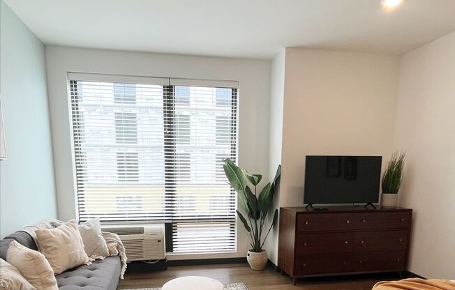 Studio, 1 bath, 425 sqft, $1,695, Unit 311 - Furnished