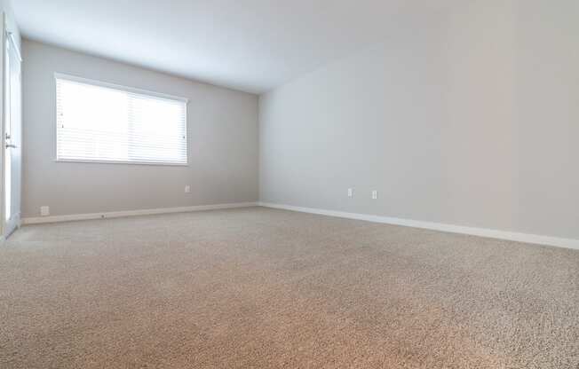 Plush Carpeting at Beverly Plaza Apartments, California