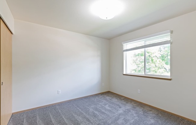 an empty living room with a window and carpet