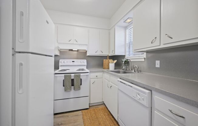 Beautiful 2 Bedroom Downstairs Available NOW!