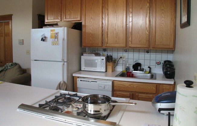 713 W Wrightwood Ave 35