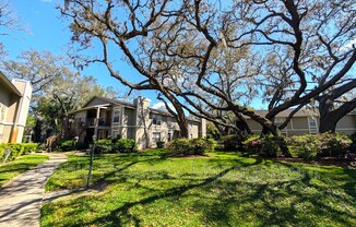 14211 SHADOW MOSS LN