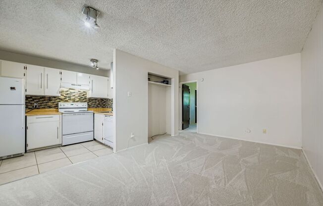 Move-In Ready 1-Bed Near Campus ***Application fee reimbursed and admin fee waived!***