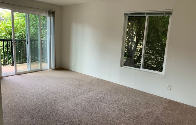 1 bed, 1 bath, 600 sqft, $1,495