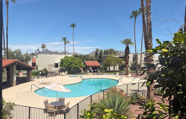 Stunning Camelback Mountain Views in the Heart of Phoenix