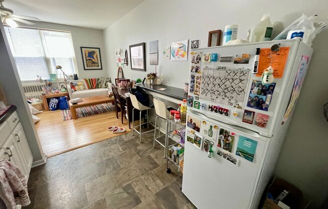 Studio, 1 bath, $750, Unit 207
