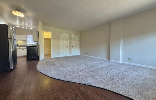 Studio, 1 bath, $1,295, Unit 209