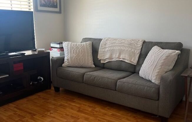 2 beds, 2 baths, $3,500