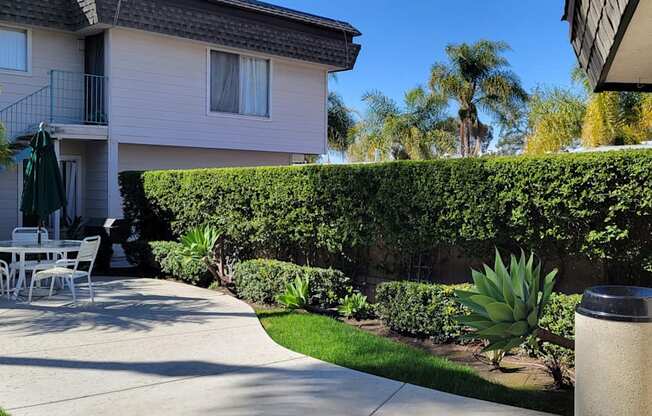 The palm tree courtyard at La Mesa Village apartments is a great place to relax!