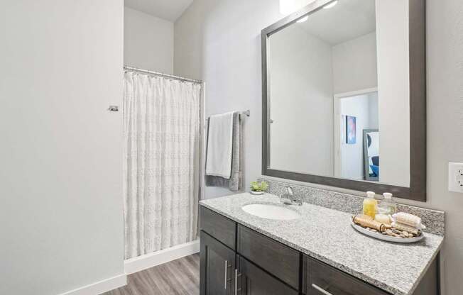 A bathroom with a sink, mirror, and shower curtain.