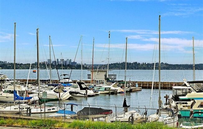 Stunning 5 bedroom Craftsman View Home in Leschi!