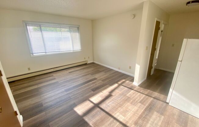 1 bed, 1 bath, 430 sqft, $895, Unit 713-7