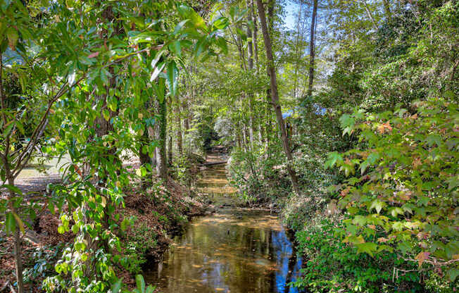 Rae's Creek running through the community