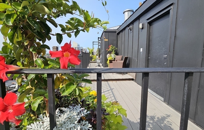 2 beds, 2 baths, 1,050 sqft, $6,500, Unit 804