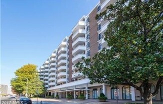 Renovated 1BR, 1BA + Garage Space. 2 Blocks from The Wharf