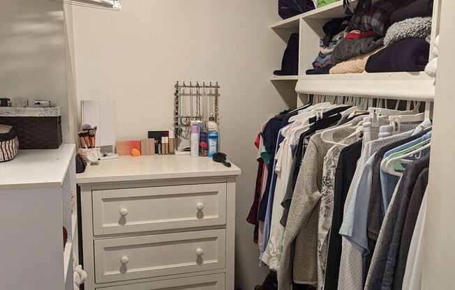 Studio, 1 bath, 431 sqft, $2,600, Unit 1503