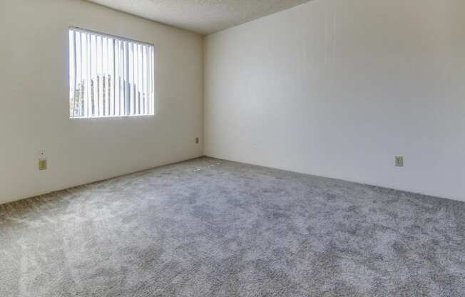 an empty room with a window and a carpeted floor