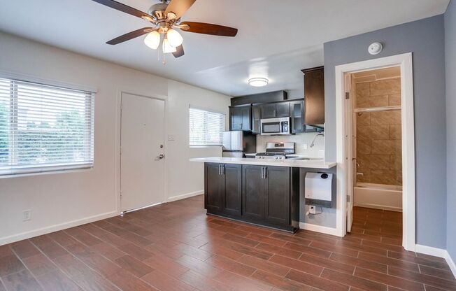 Studio, 1 bath, 300 sqft, $1,550, Unit 60