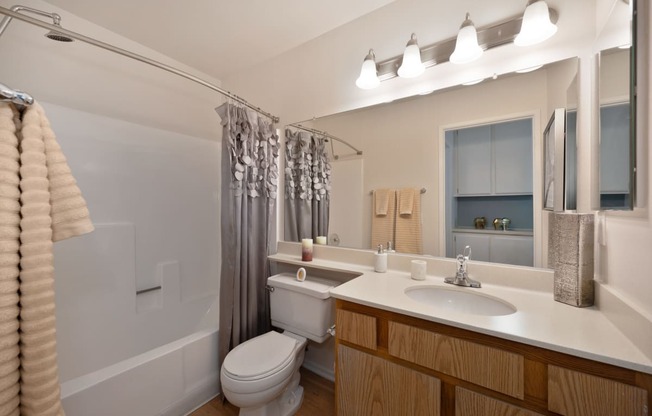 a bathroom with a sink and a toilet and a shower