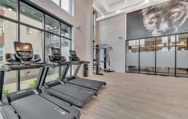 the gym at the flats at obsidian