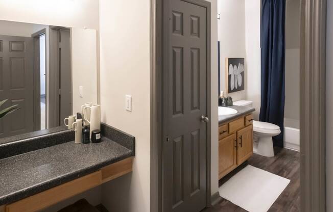 a bathroom with a sink and a toilet and a mirror