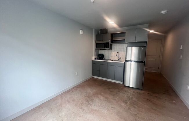 Studio, 1 bath, 238 sqft, $1,025, Unit 309 MFTE