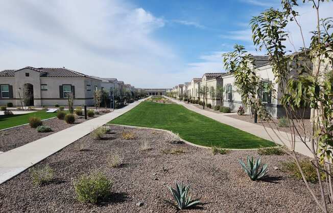 Outdoor Green Space at Avilla Grand, El Mirage, AZ 85335