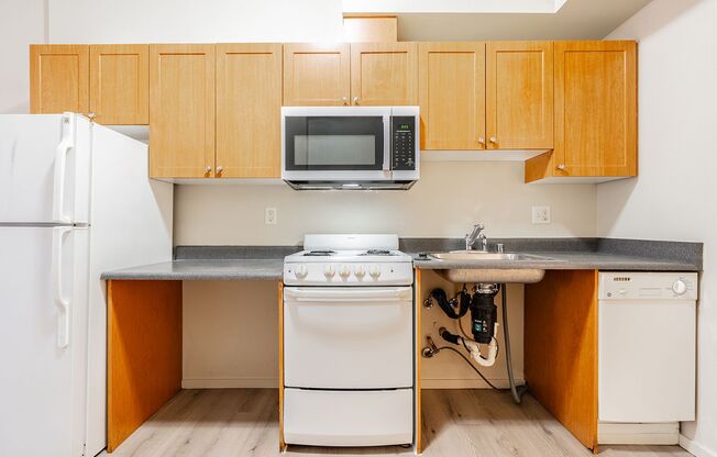 Studio, 1 bath, 505 sqft, $949, Unit 310